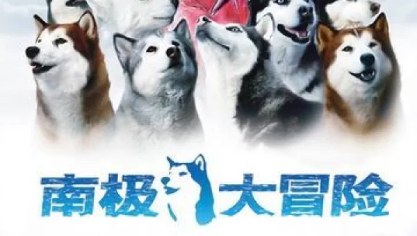 南极大冒险下载