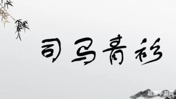 司马青衫是形容
