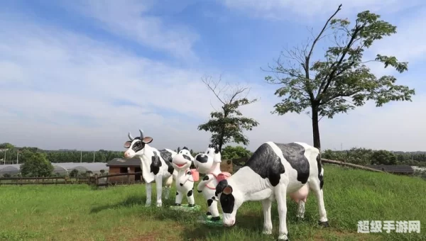 阳光牧场