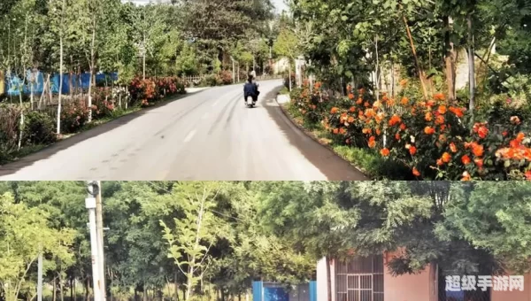 玫瑰小镇进不去