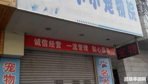 小小宠物店
