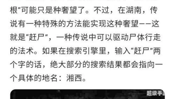 湘西赶尸犯罪大师答案