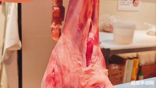 羊肉串变羊肉吕