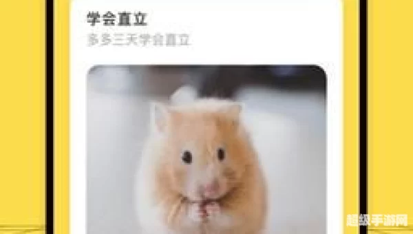 叠仓鼠