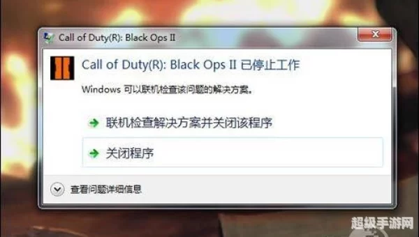 使命召唤9没反应