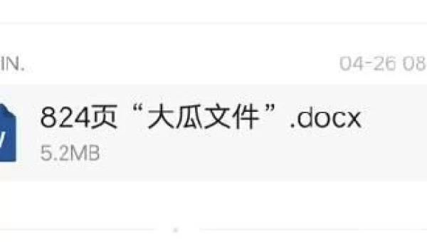 824页大瓜文件